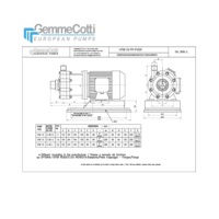 Pompes centrifuges magnétiques HTM 15 PVDF de fabrication italienne avec moteur 1,5 kW IEC 90 S 2P en plastique pour la manipulation des acides