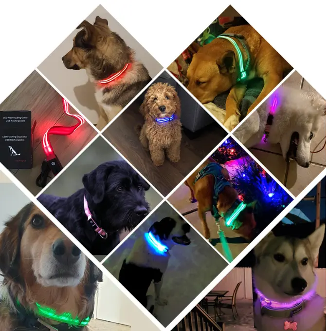 Wiederauf lad bares Haustier zubehör Großhandel Multi Color Led Light Up Hunde halsband