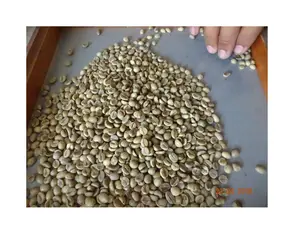 저렴한 가격 대량 녹색 커피 콩 18 scr 녹색 커피 콩 원시 커피