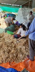 Algues Cottonii pour la vente en gros du fournisseur vietnamien-Produit de qualité supérieure algues Cottonii séchées fraîches en grande exportation - Product Image 3