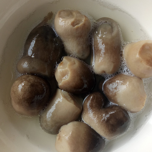 Champignons Frozen, 6 pièces, à vendre - Product Image 3