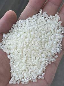 [KEITH VILACONIC] JAPONICA SUSHI GRANO CORTO ARROZ/RIZ/ARROZ ESTILO SECO CORTO CON CALIDAD PREMIUM y PRECIO COMPETITIVO - Product Image 6