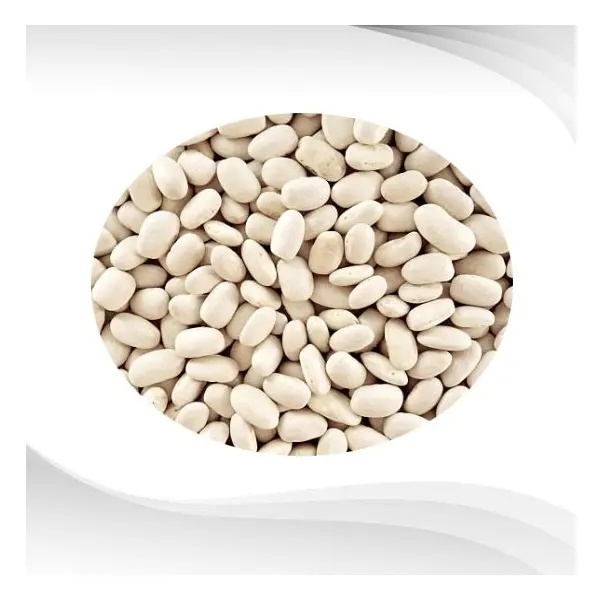 सस्ती कीमत आपूर्तिकर्ता प्राकृतिक सफेद किडनी बीन्स मिस्र की नई फसल सफेद किडनी बीन्स तेजी से शिपिंग के साथ थोक मूल्य पर