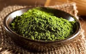 EXTRACTO DE HOJA DE GOTU KOLA A BASE DE PLANTAS EN FORMA DE POLVO FINO PARA EL BIENESTAR Y BENEFICIOS INMUNE - Product Image 6