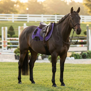 Tapis de selle respirant et absorbant les chocs pour l'équitation, anti-humidité, confortable, léger et personnalisable - Product Image 4