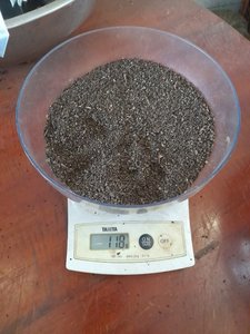 พริกไทยดำเม็ดเล็ก ขนาด 1 มม.-2.5 มม. แบบมีเปลือกแตก วัตถุดิบแห้ง อายุการเก็บรักษา 2 ปี ความละเอียด 80% ออนสกรีน -จัสติน - Product Image 5