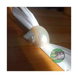 Encantadores anillos de servilleta de concha marina hechos a mano, hermosa concha creativa costera, artesanía 99 DATOS DE ORO - Product Image 4