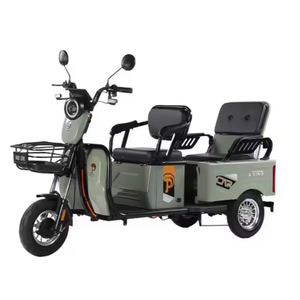 ASSURANCE COMMERCIALE : Achetez un véhicule utilitaire électrique à trois roues prêt à être expédié pour transporter des passagers et des charges – NOUVEAU - Product Image 1