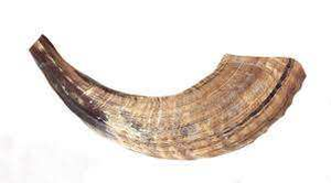 โคเชอร์อาเกตชอฟาร์ขัดธรรมชาติสำหรับเป่าและวัตถุประสงค์ทางศาสนา - Product Image 3