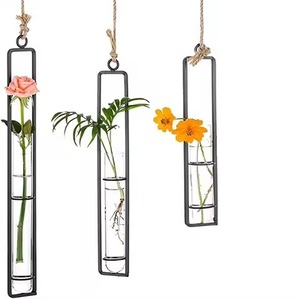 Vase à fleurs décoratif en fil métallique rond avec tube en verre et finition dorée, pour table de salon, pot à fleurs pour la maison - Product Image 3