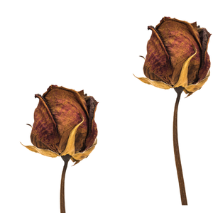 Pétalos de rosa roja seca de grado de lujo | Para mezclas de té y confitería - Product Image 1