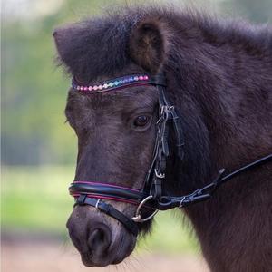 Brida Horse Mini Shetland Inhand Leather Show con rienda de plomo en negro o marrón - Product Image 4