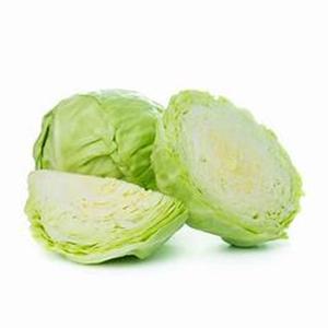 Chou frais résistant au gel pour usage culinaire et industriel à des prix raisonnables - Product Image 2