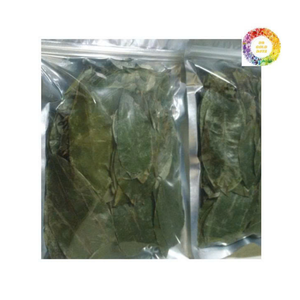 Premium Dried Soursop Leaves From Vietnam Dried Soursop Leaves For Graviola <b>Tea</b> Preparation And Blending - Product Image 3
