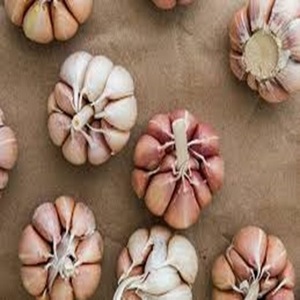 Garlics สดที่มีคุณภาพดีเยี่ยมในราคาที่ดีที่สุด - Product Image 5
