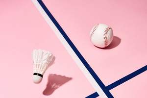 Lift Ace shuttlecock design de logo personnalisé professionnel de haute qualité - Product Image 5