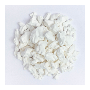 Polvo de arrurruz Premium, larga vida útil garantizada, polvo de arrurruz Ideal para exportadores de alimentos y compradores de suministros a granel - Product Image 6