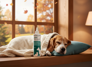 PetBiology น้ำยาทำความสะอาดหูสัตว์เลี้ยง – บำบัดด้วยเซรูเมโนไลติก อ่อนโยนต่อสุนัขและแมว 150 มล. - Product Image 5