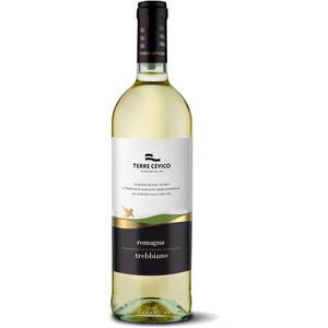Italian White <b>Wine</b> TERRE CEVICO Trebbiano Di Romagna DOC 750ml Smooth Balanced 6 Bottles Per Box Direct From Italy - Product Image 1
