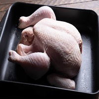 Exportation de poulet entier congelé certifié halal disponible à la vente en gros meilleur prix de vente à bas prix