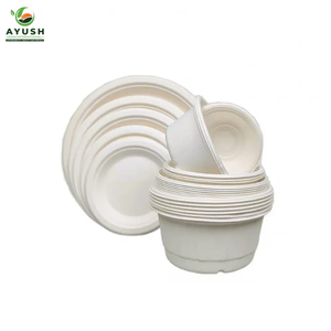 Bols et assiettes jetables en pulpe de canne à sucre pour buffets, fêtes, restaurants et plats à emporter - Product Image 1