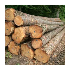 Grumes de teck africain fournies en grande quantité pour revêtements de sol armoires et boiseries décoratives - Product Image 6