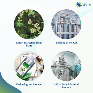 Aceite DE MAYO Chang 100% puro y natural al por mayor a granel precio más bajo embalaje personalizado - Product Image 4