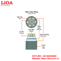 Le câble de commande examiné par cuivre de LiOA DVV/Sc-30xC-0.6/1kV 30 noyaux a protégé la diverse zone nominale noire résistante à la chaleur de conducteur