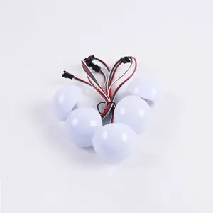 High quality Miracle Bean Led Amusement series led Light 12V 2W RGB Led Light Led Pixel Light Led lamp