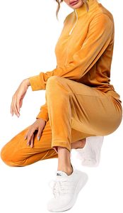 Women's Custom Logo Street 2 Two-Piece <b>Velour</b> Velvet Sweatsuit Sets Solid Tracksuit Logo <b>Hoodie</b> Zipper Long Casual Workout - Product Image 2