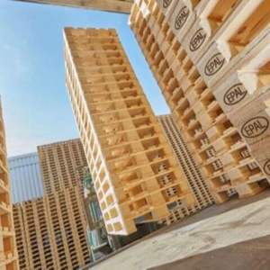 Paletas de Plástico Europeas de la Mejor Calidad, Paletas EPAL Industriales de Una Sola Cara, Ecológicas y de Alta Calidad en Venta - Product Image 2