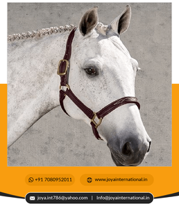 Licol en cuir véritable de haute qualité, design moderne et confortable, marque JOYA, rembourré, vente en gros, premium, éphémère, best-seller - Product Image 4