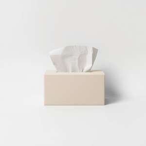 Boîte de mouchoirs en papier Ruby écologique, 2 plis, doux, en pâte de bois vierge, emballage personnalisé, vente en gros pour la maison - Product Image 5