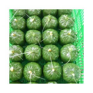 Harga grosir terjangkau untuk daun singkong beku segar dengan harga pabrik