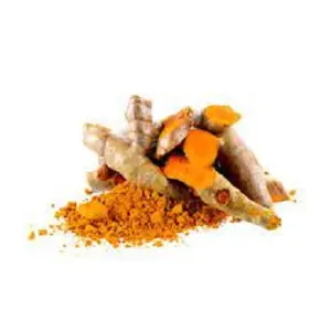 Poudre d'extrait de curcumine vente chaude curcumine de racine naturelle pure 5% 20% 95% poudre de curcuma sauvage biologique prix de gros