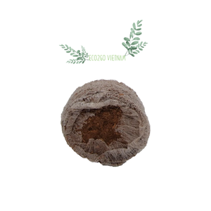 เม็ดมะพร้าวอัดเม็ดสำหรับเพาะเมล็ด100% มะพร้าวธรรมชาติสำหรับเพาะเมล็ด Eco2go จากเวียดนาม - Product Image 4