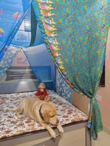 Multicolored Bohemian Sari <b>Bed</b> <b>Canopy</b> with Mosquito Net for Home Decor and Camping - Product Image 2