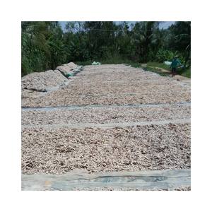 Os de seiche séchés blanchis, naturels, de haute qualité, coupés à sec au soleil, non coupés - Product Image 1