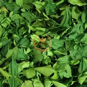 Hojas de Kaffir Lime Secas de Primera Calidad para Exportación, Hierba Saborizante Natural para Aplicaciones Alimentarias, Empaque OEM, Hecho en Vietnam - Product Image 3