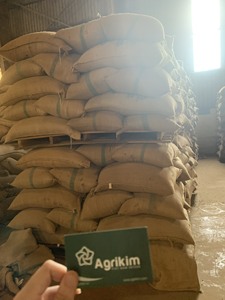 Precio con Descuento, Calidad Premium, 100% Arábica Grado AA, Venta al por Mayor, Suministro a Granel, Tueste Intenso. Contactar a Sra. Doris +84 35 254 2206 - Product Image 4