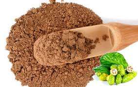 Noni natural en polvo, frutos secos de Vietnam, suplemento alimenticio saludable de MS Holiday - Product Image 6