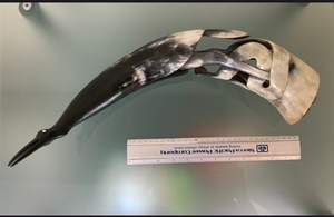 Série WildHorn PlayPerch - Product Image 4