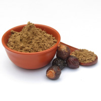 Vente en gros de poudre d'extrait de noix de savon soapberry en poudre naturelle pour la lessive prix d'exportation le moins cher