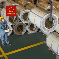 Bobina de Acero al Carbono Serie 304N 200 de Hoa Sen Group, 0.4-2.50 mm, Tolerancia del 15%, Superficie N.° 3, Estándar GB, Certificación ISO 9001, Origen VN
