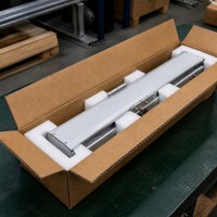 Module de glissière linéaire à vis à billes BSC13, actionneur linéaire électrique avec moteur pas à pas NEMA, rail compact haute rigidité pour machine CNC