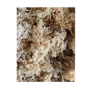 New Crop Non Salted White Golden Purple Dried Eucheuma Cottonnii Seaweed/ Dried Sea Moss / Dried Chondrus Crispus