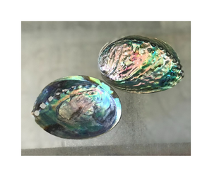 Brilla y brilla con piedras de concha de abulón de alta calidad, aporta belleza natural a tu decoración con concha de abulón - Product Image 3