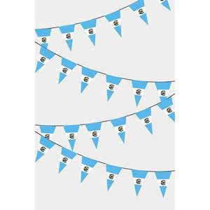 Guatemala Triangular <b>Flag</b> Garland Digital Printing 3x5ft Polyester Silk Plastic Pennants on Fiberglass <b>Pole</b> <b>for</b> Display - Product Image 1