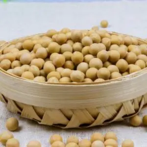 Kacang kedelai Non Gmo/Kacang kedelai berkualitas, biji kedelai organik, grosir