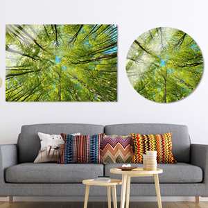 Art mural en verre Forest View : Décoration sur toile imprimée d'arbres verts, verre circulaire - Product Image 1